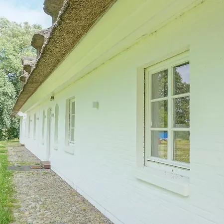 Reetdachhaus Duenenwarft Tatil Evi