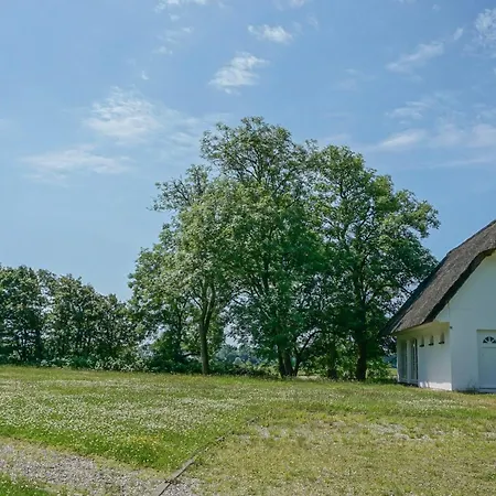 Reetdachhaus Duenenwarft Tönning