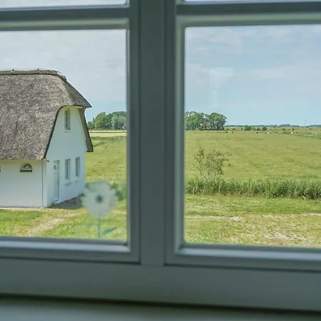 Tatil Evi Reetdachhaus Duenenwarft Tönning